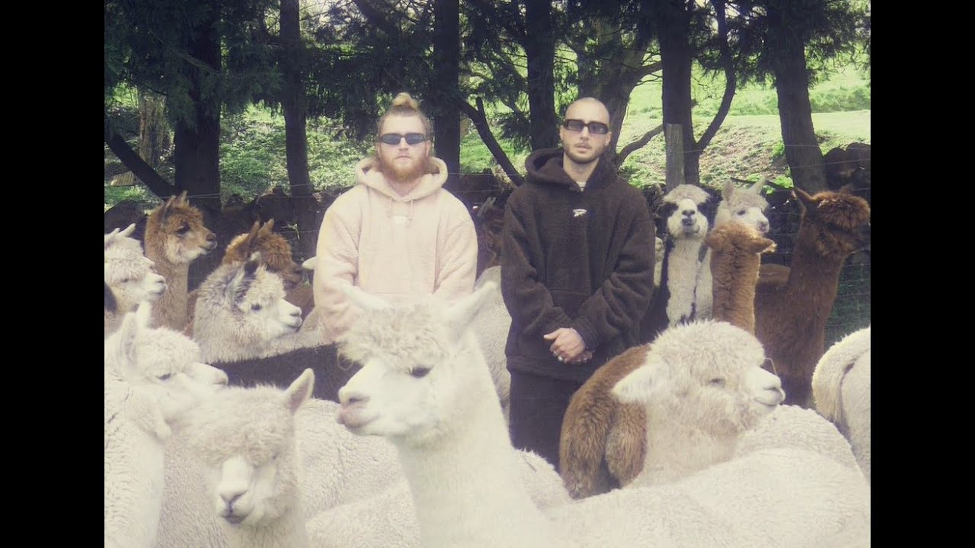En Meute — Magnar & FullBaz